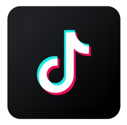 seguici su tiktok