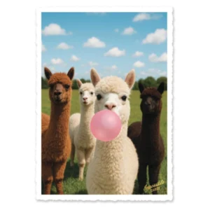 cartolina alpaca
