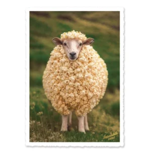 cartolina pecora popcorn
